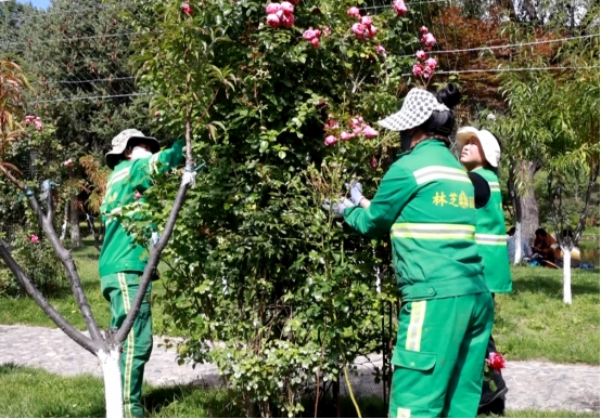 拓展城市绿化空间 增强群众幸福感