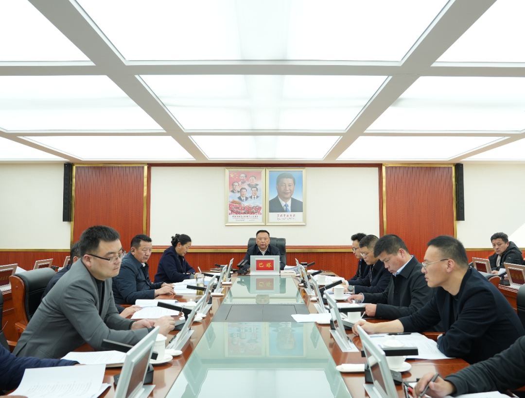 二届市人民政府召开第56次常务会议