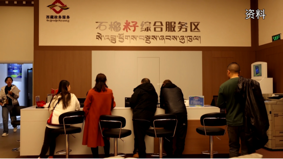 林芝全市各级政务服务中心2025年办件量突破“100万”件