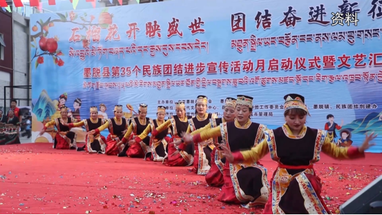 林芝市加强基层文艺队伍建设 提升公共文化服务能力