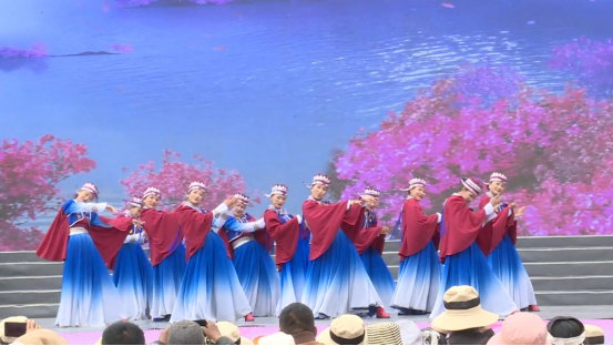 山南市加查县在林芝举办“桃花秘境 加查之约”文旅宣传推介会