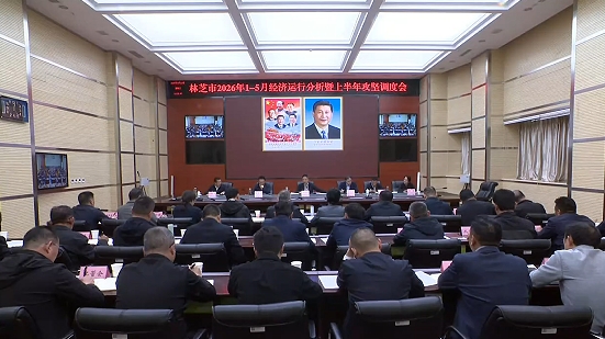 林芝市召开2026年1-5月经济运行分析 暨上半年攻坚调度会