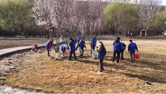 林芝市超额实现2026年国土绿化预期目标