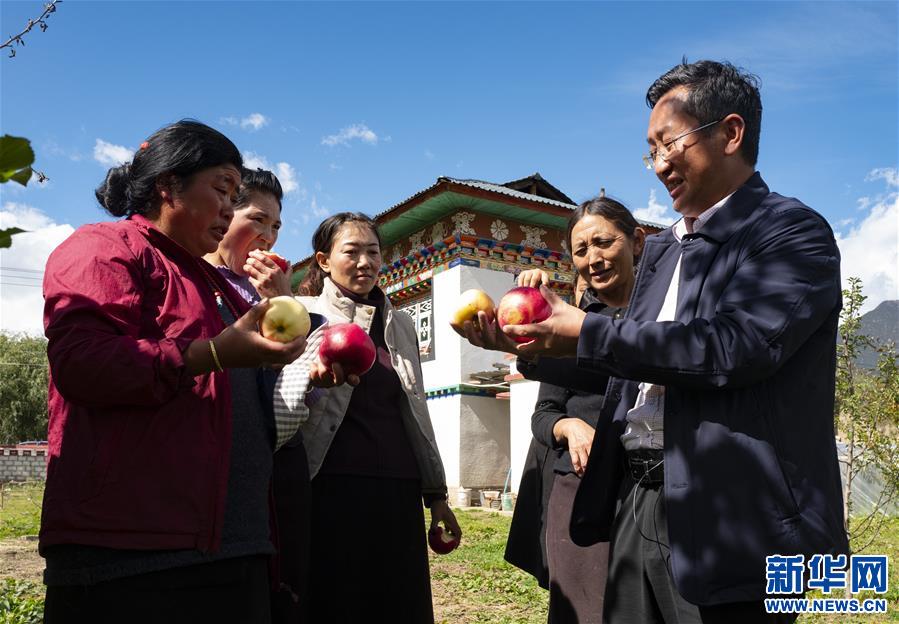 （图片故事）（5）“苹果博士”甜了藏乡百姓