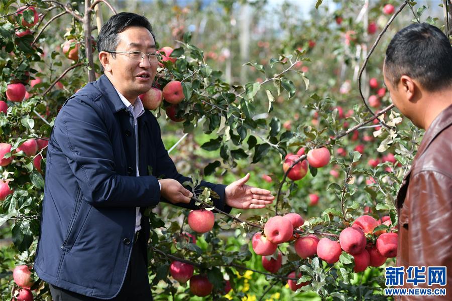 （图片故事）（8）“苹果博士”甜了藏乡百姓