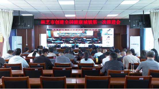 林芝市召开创建全国健康城镇第一次推进会