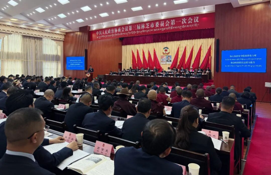 委员建言献良策 主动履职显担当