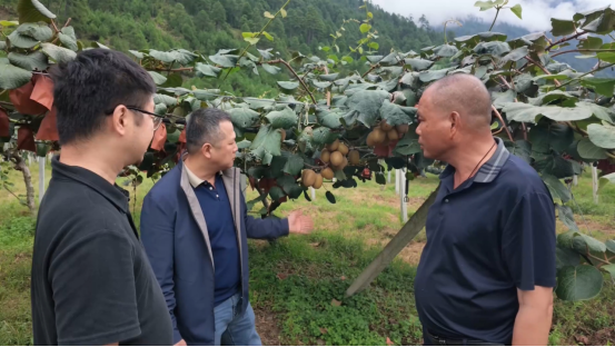 察隅特色农产品冲刺 